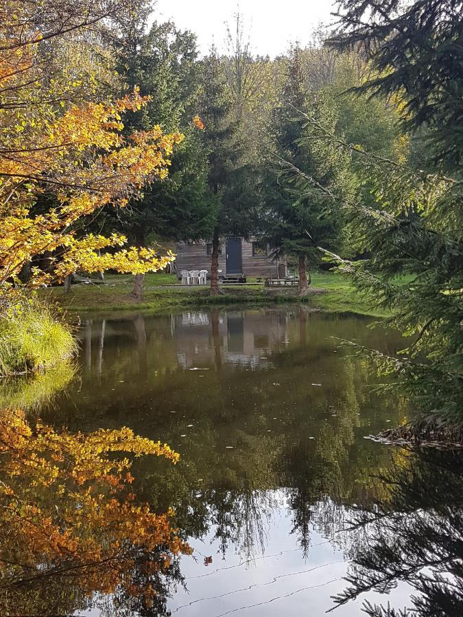 Insolite Tiny House Serenite Bien Etre Ban-sur-Meurthe-Clefcy Exterior foto