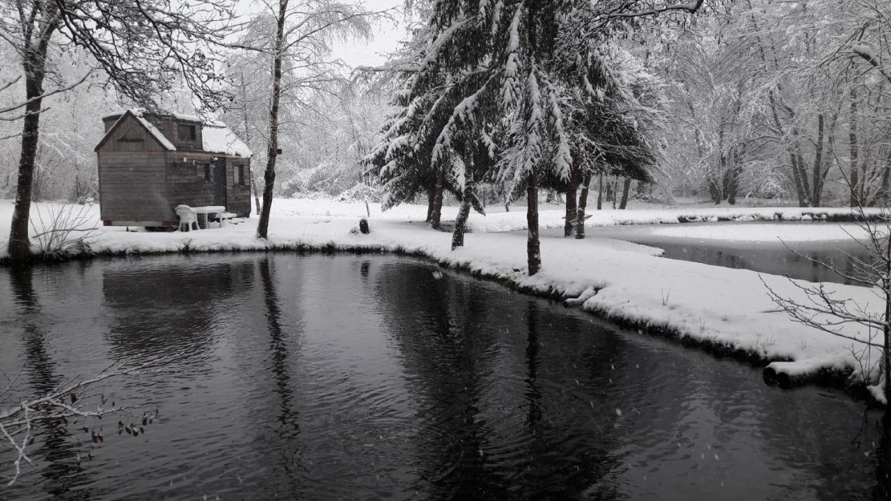 Insolite Tiny House Serenite Bien Etre Ban-sur-Meurthe-Clefcy Exterior foto